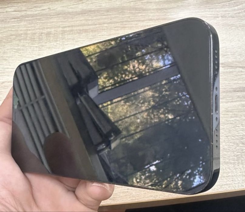 Iphone 12 pro max 256 gb