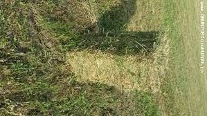 baloti , fîn 20. ron, , ghizdei 25  ron ofer transport