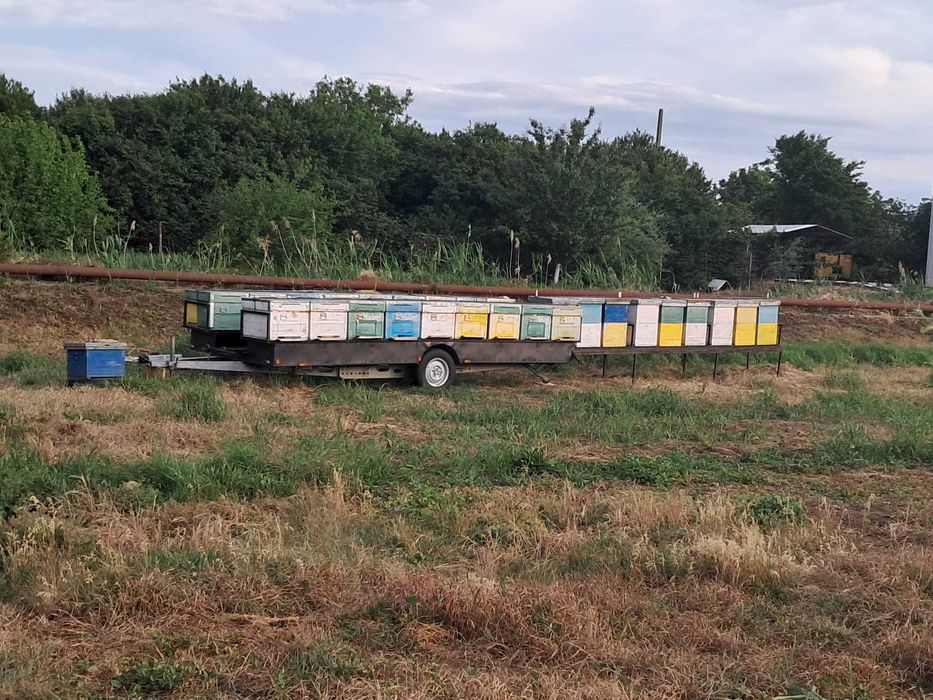 Remorca apicola 1300 kg