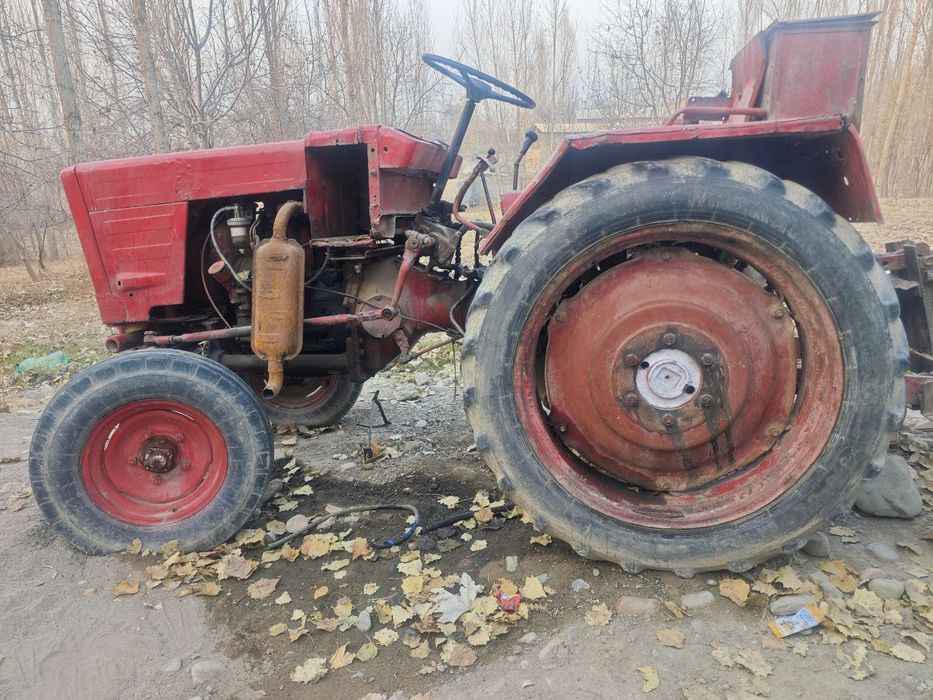 Владимирец.  Т.  25