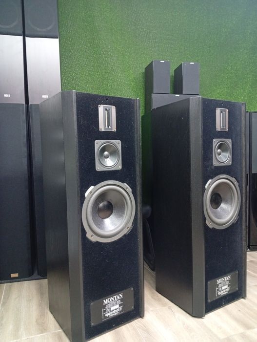 Тонколони QUADRAL Montan Mk-II