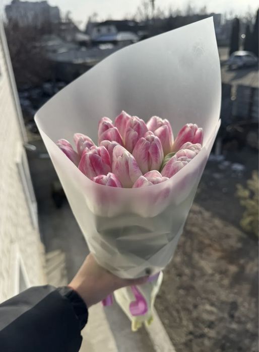 Тюльпаны Астана с оформлением