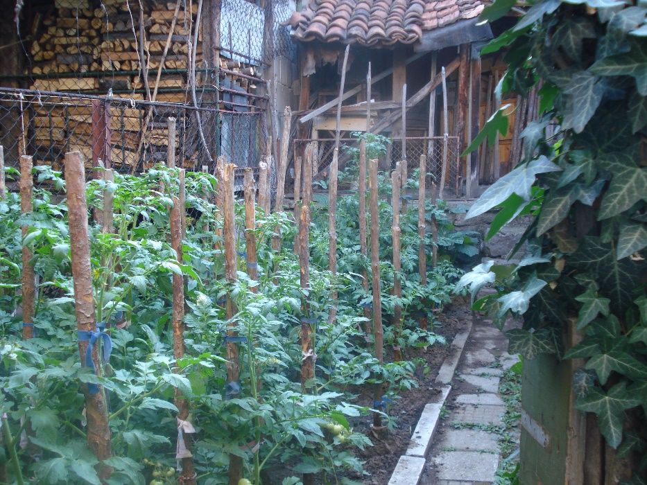 Къща в град Брацигово