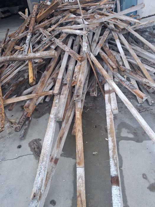 Отдам даром старый лес