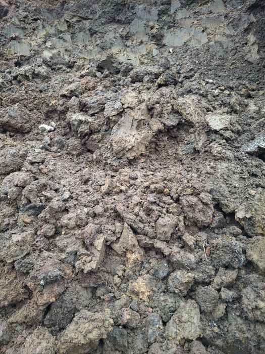 Gunoi de grajd de vita