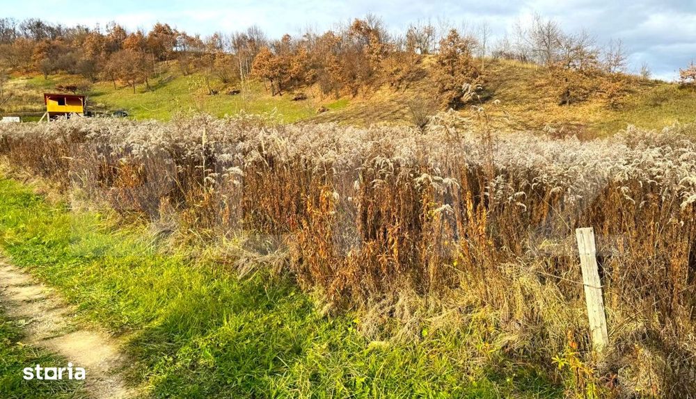 Teren extravilan de vanzare, 2400 mp, zona Valea Ghinzii