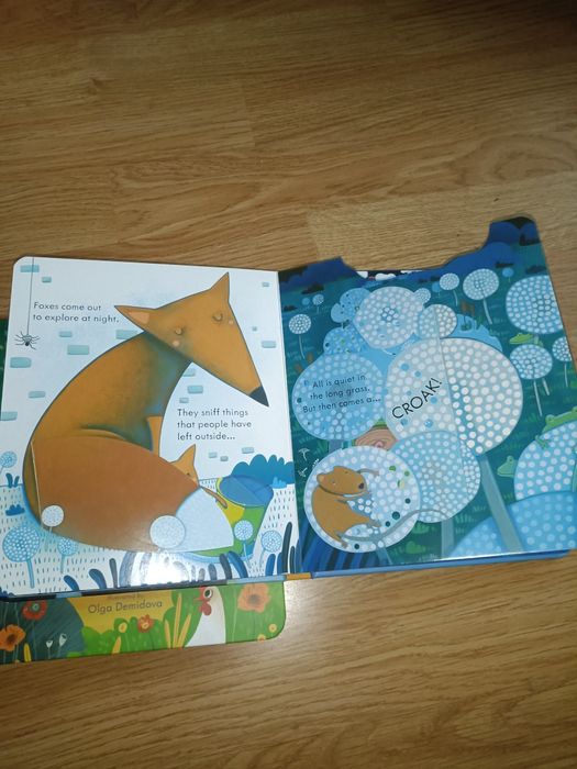 Carti usborne noi clapete