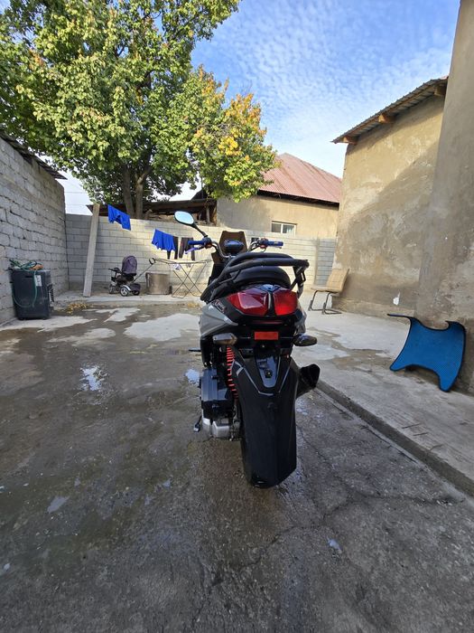 Мопед    САМУРАЙ