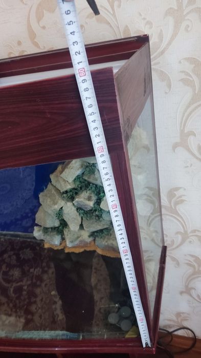 Akvarium holati yaxshi