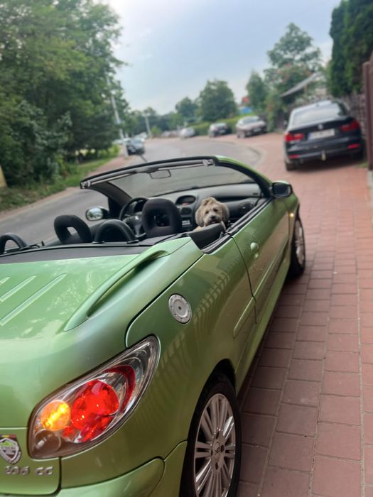 PEUGEOT 206 CC 2004 — imagine 4