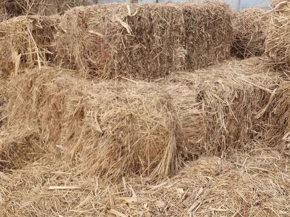 Ot sotiladi aralash hammasidan