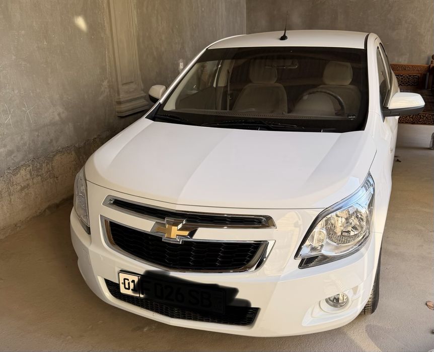 Arenda Cobalt 2022 4 poz