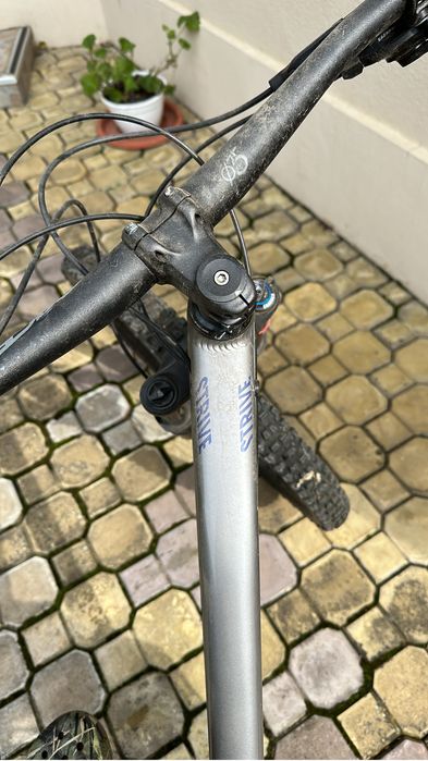 Canyon Strive 2020