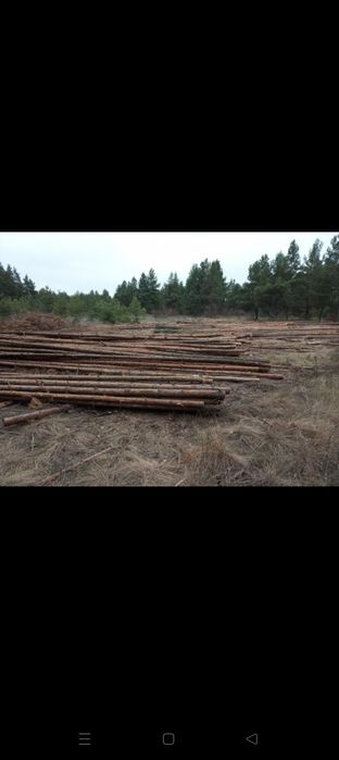 Жерди от 6 до 15 разнабой