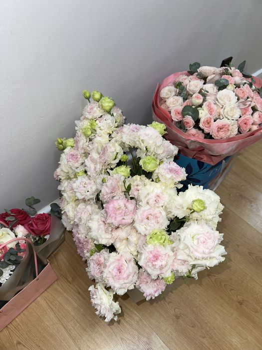 продам цветы.