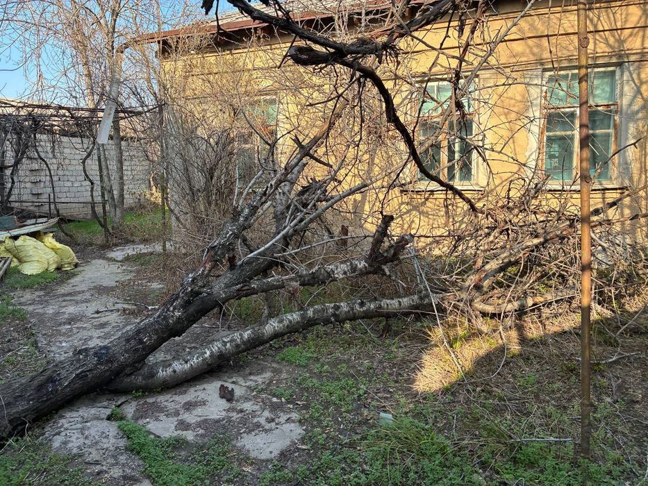 Яшнабадском районе