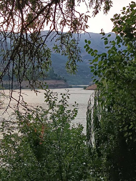Уединенная дача на Чарваке, поселок Богустан