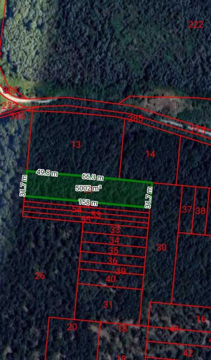 Гора 5 декара, село Гривица, общ.Плевен