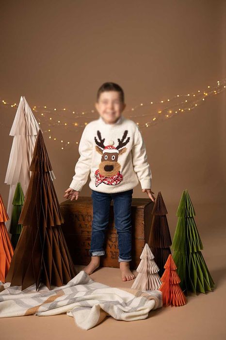 Елхи за декор от картон