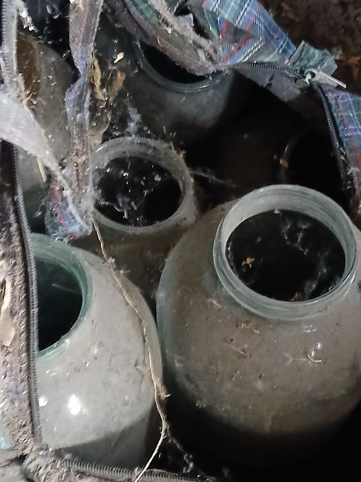 Банки для соления