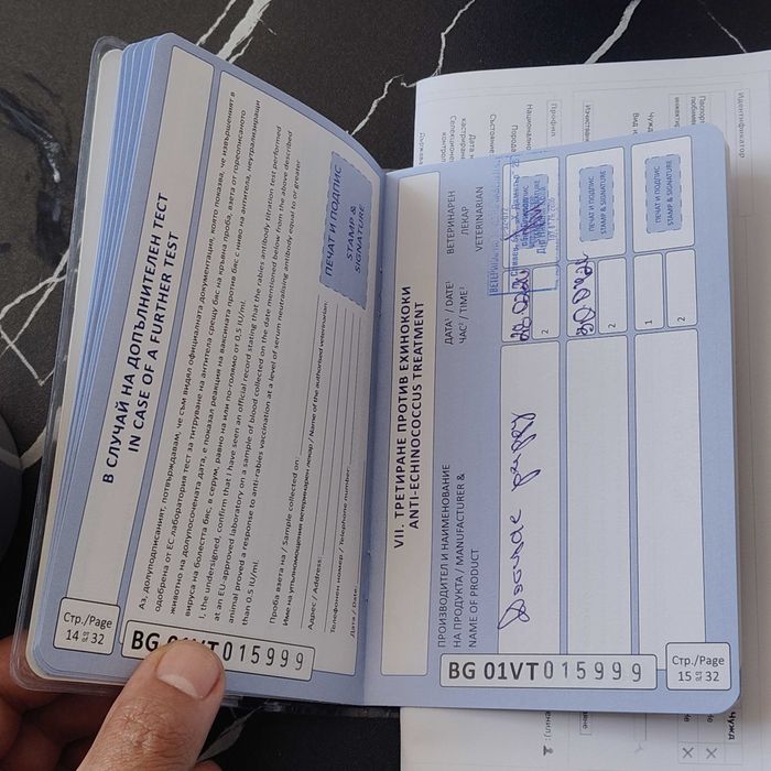 Hемска Oвчарска със чип и всички ваксини