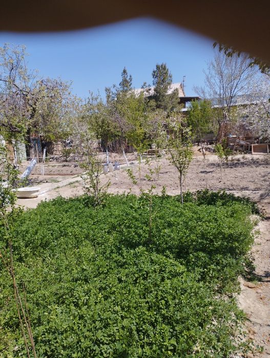 Продается Дачный участок