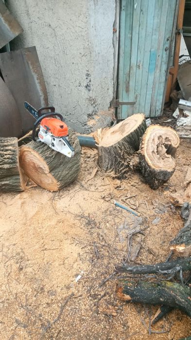 Спил деревьев обрезка плодовых