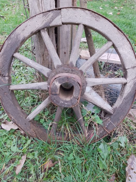 Vând roata car veche