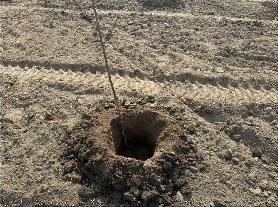 Gauri gard/plantatii pomi/transport basculabil pamant gradina