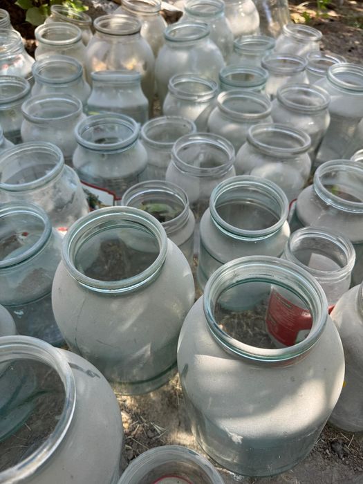 Банки для консервирования