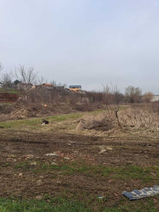Teren intravilan 500 mp – Manolache, Catelu – ideal construcție casă URGENT!