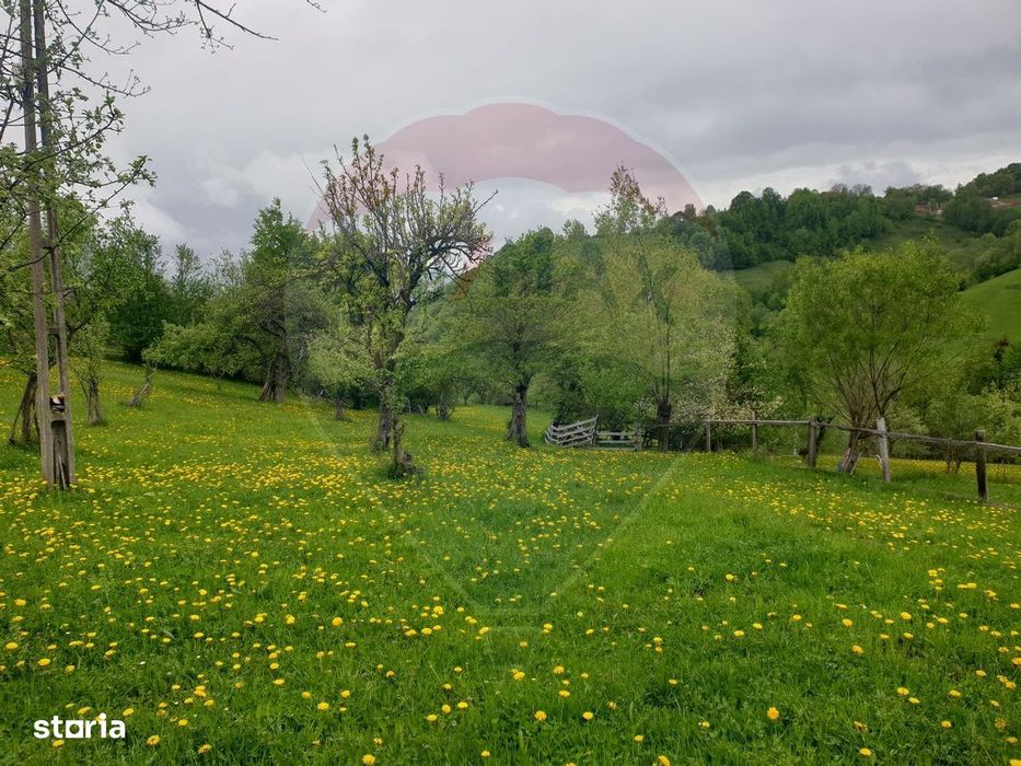 COMISION 0% | Teren 1,000mp Bran | Strada Clincea |