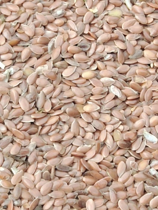 Продам лён подработаный.