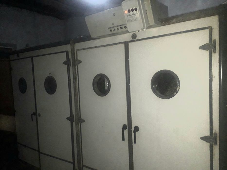 Инкубатор сотилади