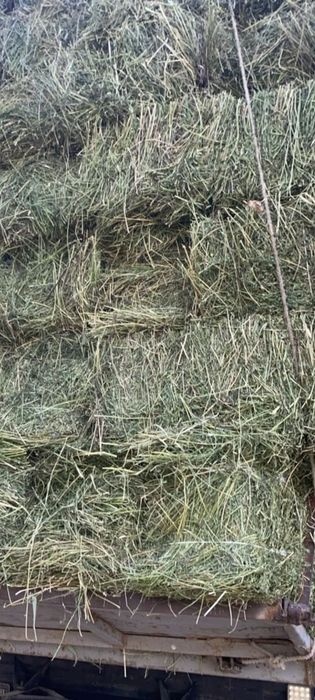 Продам сено с доставкой