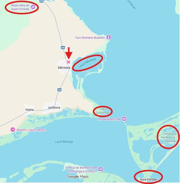 Teren Sălcioara/Jurilovca