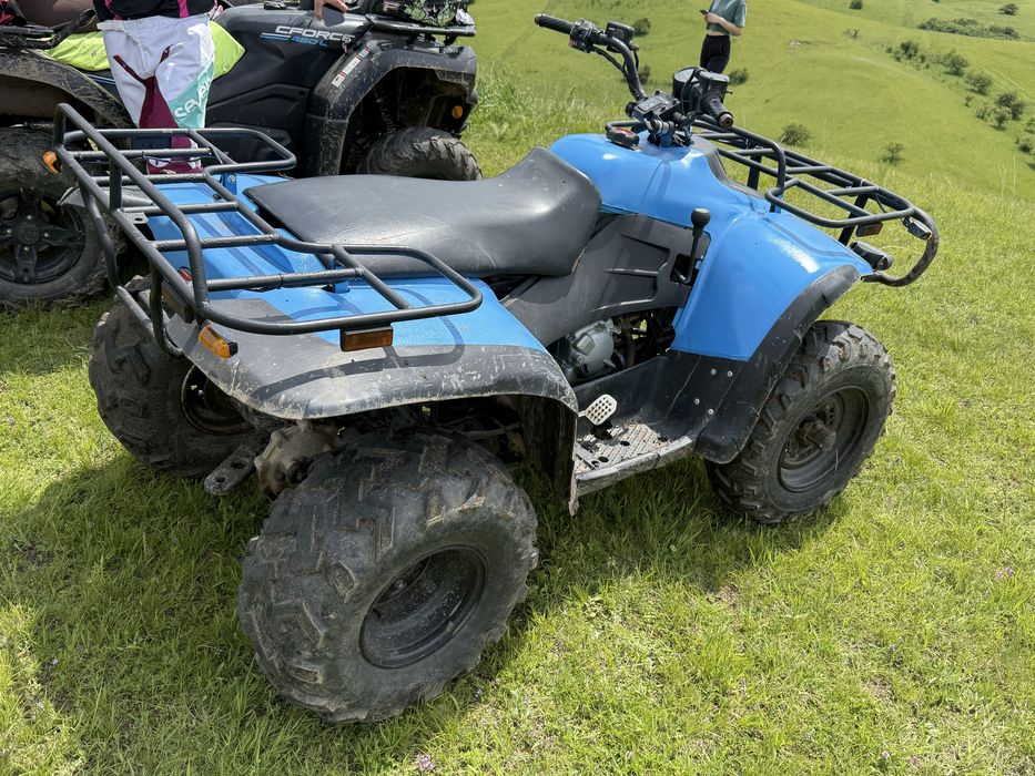 Atv linhai 300 worker