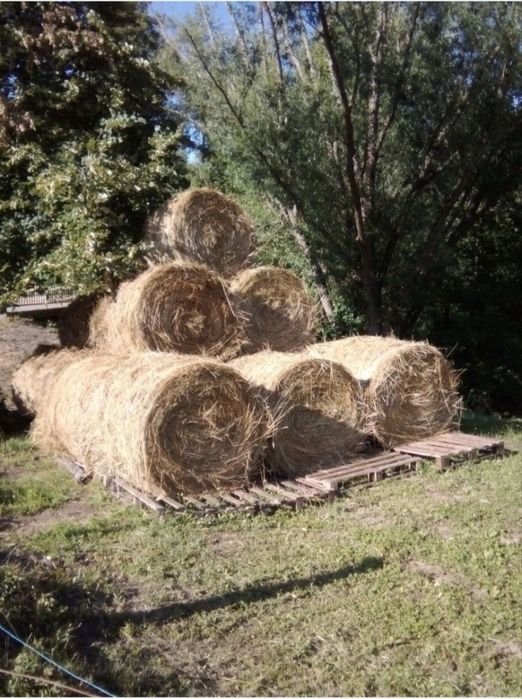 Vând baloți de fân