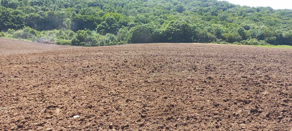 Продава се Земеделски имот в Варна, Базар Левски -  кв.м за 1275 €/дка - Снимка #1