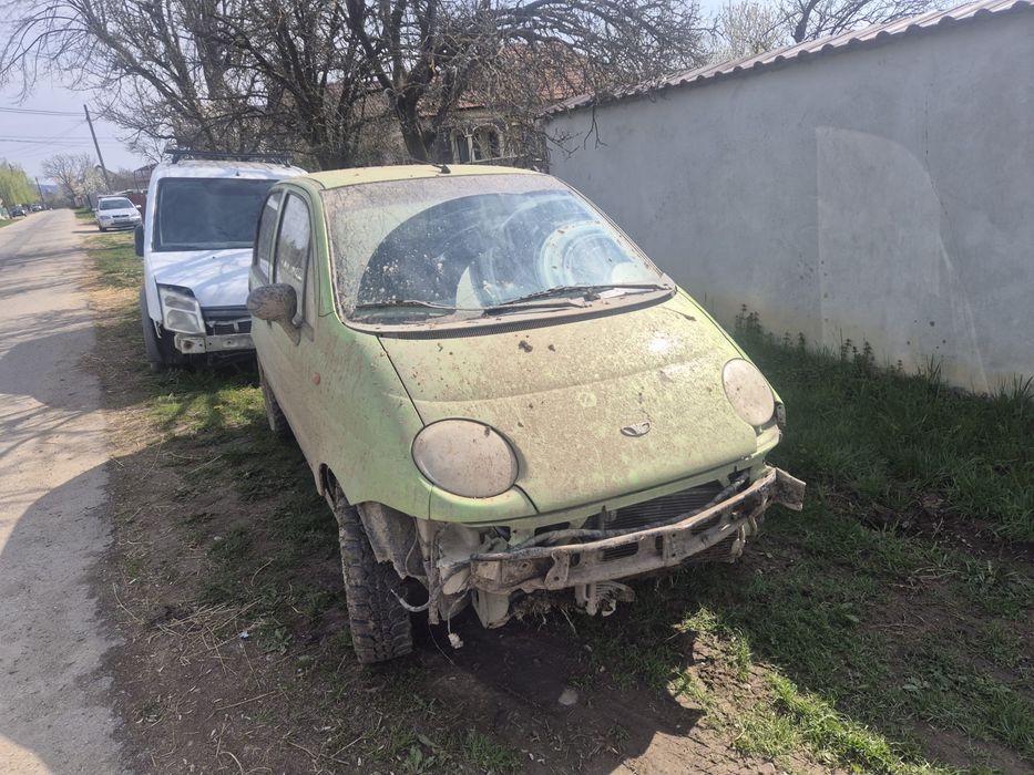 Vand matiz pentru camp
