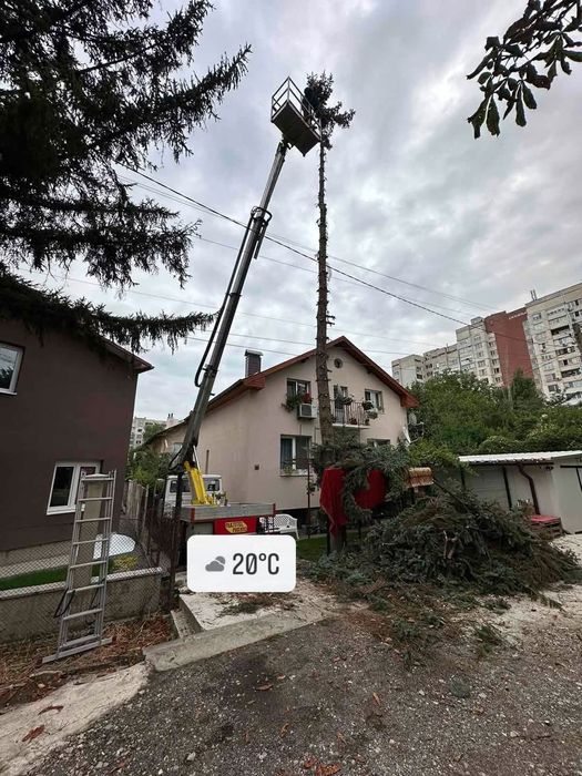 Рязане,Косене,Извозване