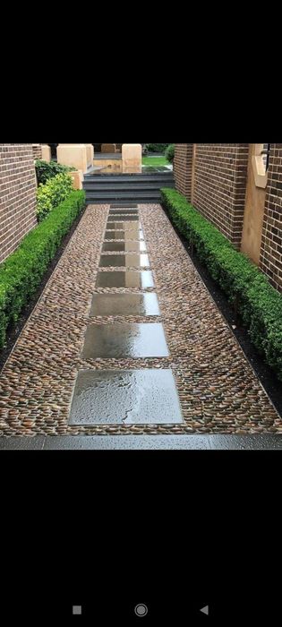 Daraxt kesish shakil berish