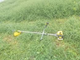 Taieri copaci cu drujba(drujbar), cosit iarba, buruieni, pomi,lemne,cr