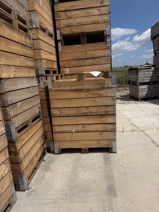 Boxpaleti 100x120