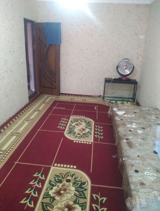 Ijaraga talaba qizlarni qoyamiz