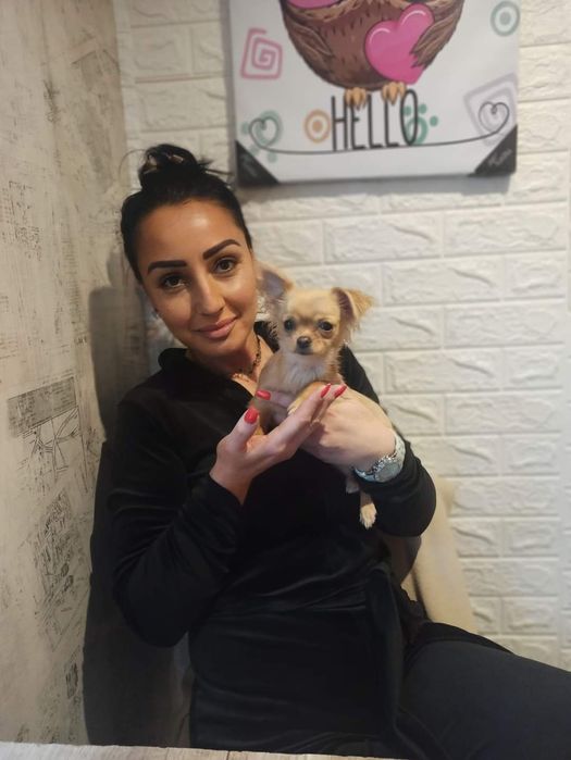 Гледане на домашни любимци в домашна обстановка