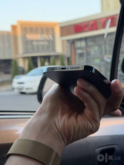 IPhone 12 Pro Max Blue