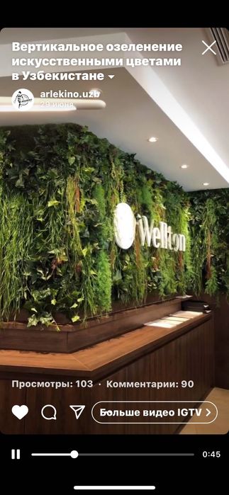 Вертикальное озеленение  растениями и мхом