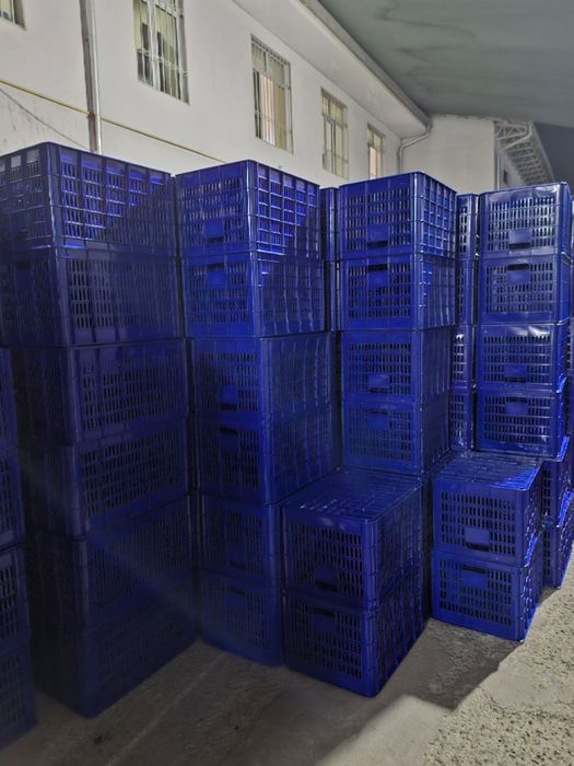 Plastmassa yashiklar harxil razmerlarda zavod narxlarda