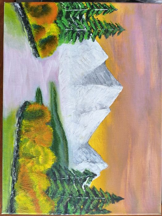 Картини   40/30 см.